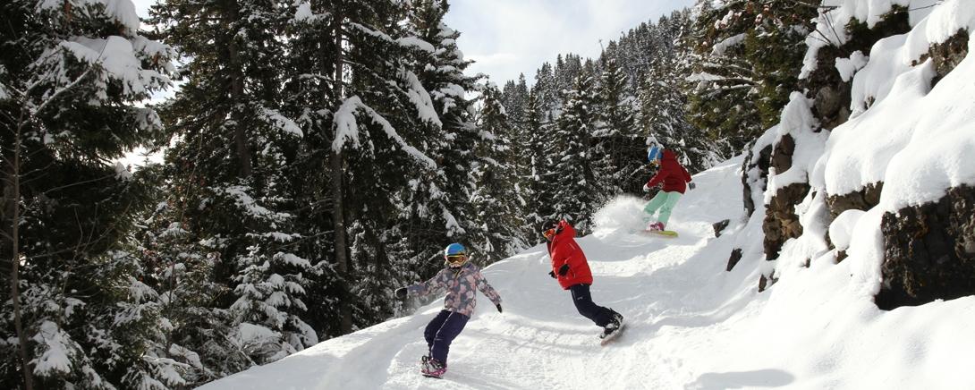 Kinderen snowboarden door een besneeuwd bos